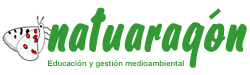 20080307224415-natuaragon-250.gif